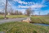 9107 Grasty Gold Mine Road - Photo 58