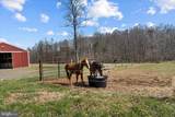 9107 Grasty Gold Mine Road - Photo 67