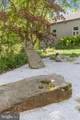 927 Buckhorn Road - Photo 111