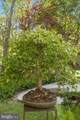 927 Buckhorn Road - Photo 112