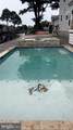 37816 Crab Bay Lane - Photo 15