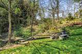 6 Laurel - Photo 46