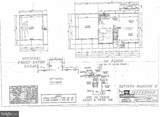 12448 Painted Horse Trail - Photo 8
