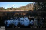 2839 Lakesville Crapo Road - Photo 1