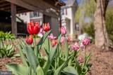 143 Scheffer Gap Road - Photo 45