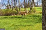 916 General Howe Drive - Photo 123