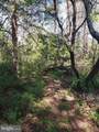  Happy Creek Road - Photo 21