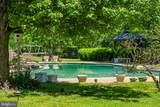 24680 Germania Lane - Photo 13