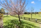 100 Sunlight Drive - Photo 24