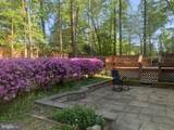 6209 Fernleigh Boulevard - Photo 2