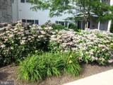 30619 Cedar Neck Road - Photo 46