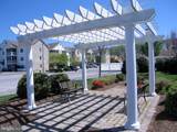 30619 Cedar Neck Road - Photo 47