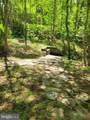 6000 Haleys Mill Road - Photo 67