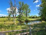 5880 Wedding Court - Photo 11
