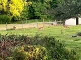 1685 Njsh Route 45 - Photo 32