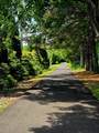 1685 Njsh Route 45 - Photo 35