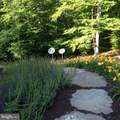 8485 Rogues Road - Photo 72