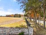 8485 Rogues Road - Photo 74