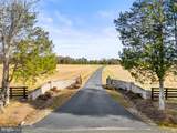 8485 Rogues Road - Photo 75