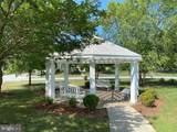 29868 Nicholas Way - Photo 36