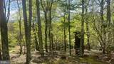 133.944 ACRES Russelldale Road - Photo 14