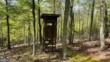 133.944 ACRES Russelldale Road - Photo 15