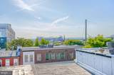 1109 William Street - Photo 43