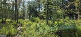  Hawthorne - Photo 18