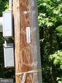  Hawthorne - Photo 4