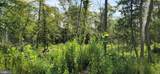  Hawthorne - Photo 19