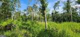  Hawthorne - Photo 24