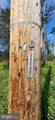  Hawthorne - Photo 25