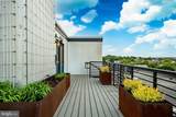41 Lemon Street - Photo 22