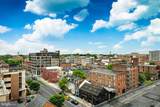 41 Lemon Street - Photo 33