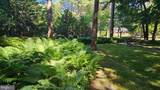 606 Tony Tank Lane - Photo 59