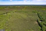 116.32 Acres Gilliam Mill Road - Photo 10
