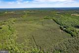 116.32 Acres Gilliam Mill Road - Photo 12