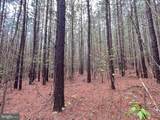 116.32 Acres Gilliam Mill Road - Photo 13