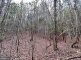 116.32 Acres Gilliam Mill Road - Photo 15