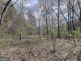116.32 Acres Gilliam Mill Road - Photo 17