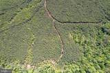 116.32 Acres Gilliam Mill Road - Photo 18
