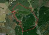 116.32 Acres Gilliam Mill Road - Photo 2