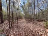 116.32 Acres Gilliam Mill Road - Photo 21