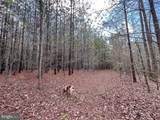 116.32 Acres Gilliam Mill Road - Photo 22