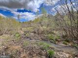 116.32 Acres Gilliam Mill Road - Photo 24
