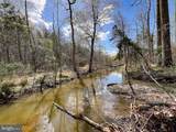 116.32 Acres Gilliam Mill Road - Photo 28