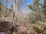116.32 Acres Gilliam Mill Road - Photo 29