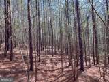 116.32 Acres Gilliam Mill Road - Photo 33