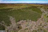 116.32 Acres Gilliam Mill Road - Photo 34