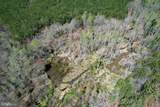 116.32 Acres Gilliam Mill Road - Photo 35